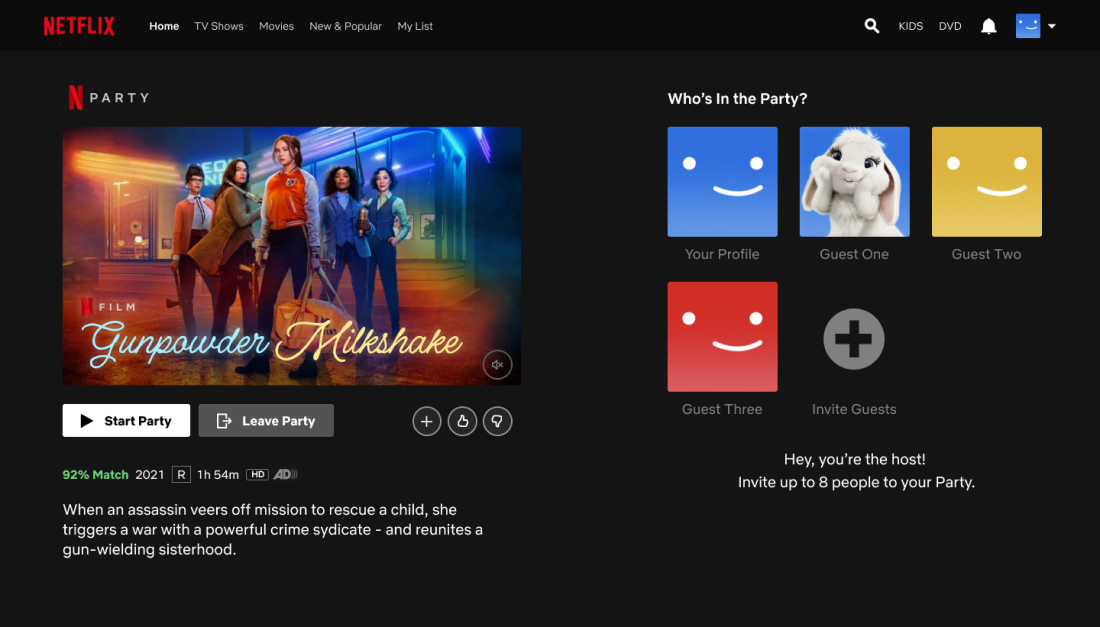 Netflix Academic Project Photo